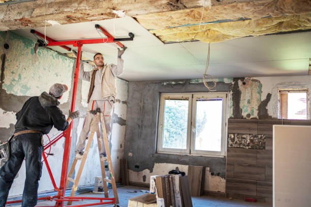 Best Insulation Materials and Products in Linganore, MD